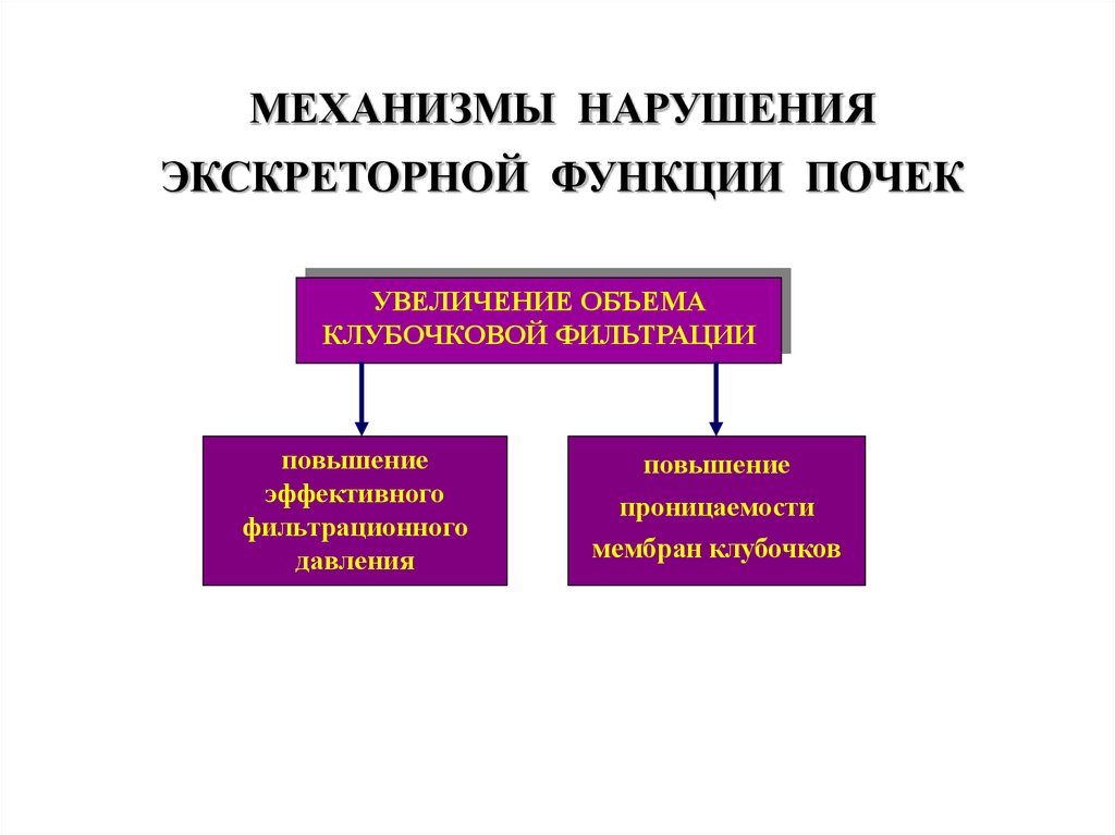 Нарушение функции почек. Механизмы нарушения клубочковой фильтрации. Усиление фильтрационной функции почек. Механизм нарушения это. Нарушение фильтрационной функции почек.