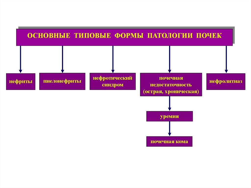 Патология ответы. Типовые формы патологии. Типовые патологии почек. Типовые формы патологии тканей.