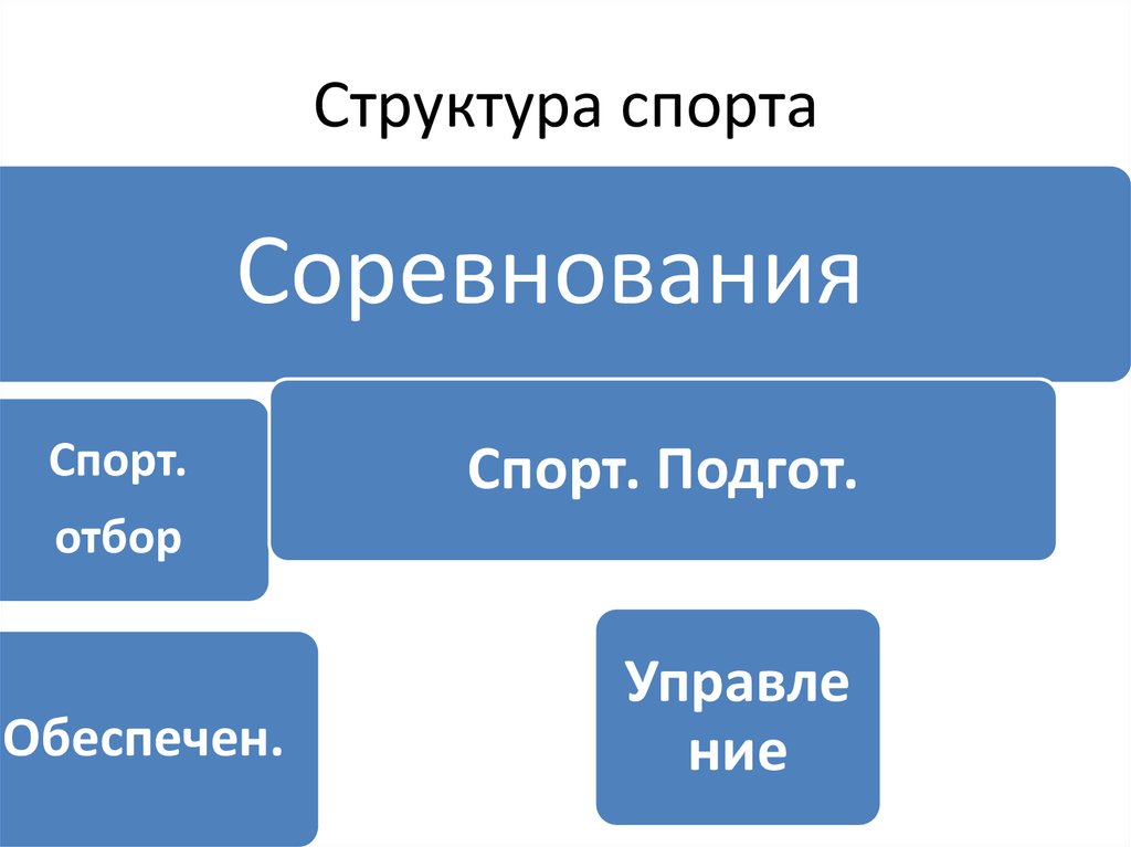 Спортивные структуры. Иерархия в спорте.