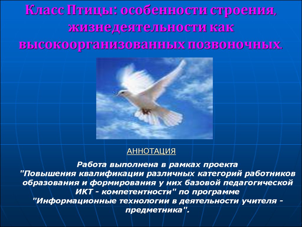 Класс Птицы: особенности строения, жизнедеятельности как  высокоорганизованных позвоночных - презентация онлайн