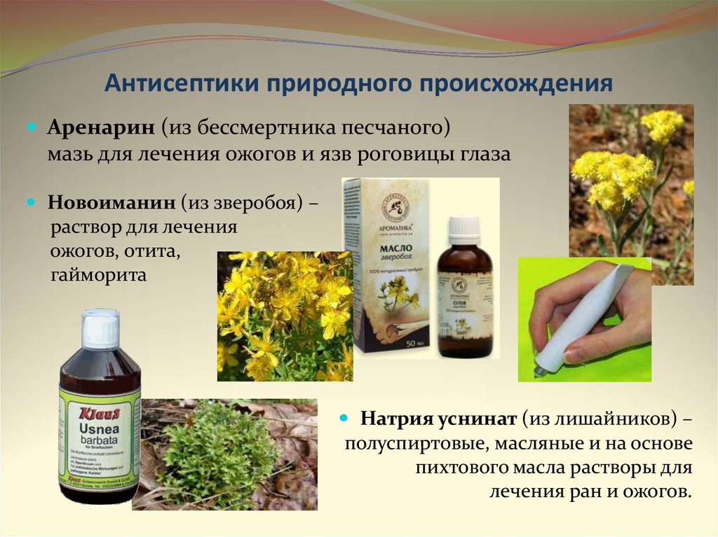 Примеры растительного происхождения. Антисептики природного происхождения. Растительные антисептики. Травы с антисептическим действием. Растение антисептик.