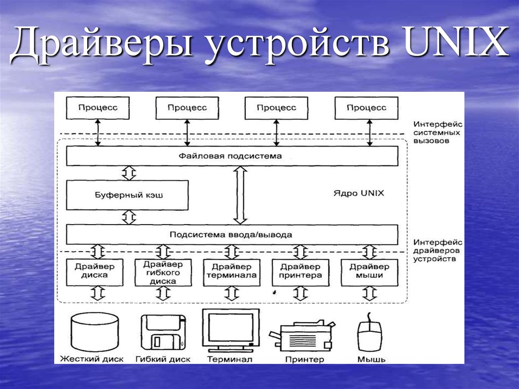 Название какого устройства необходимо вписать в пустой блок общей схемы компьютера внешняя память