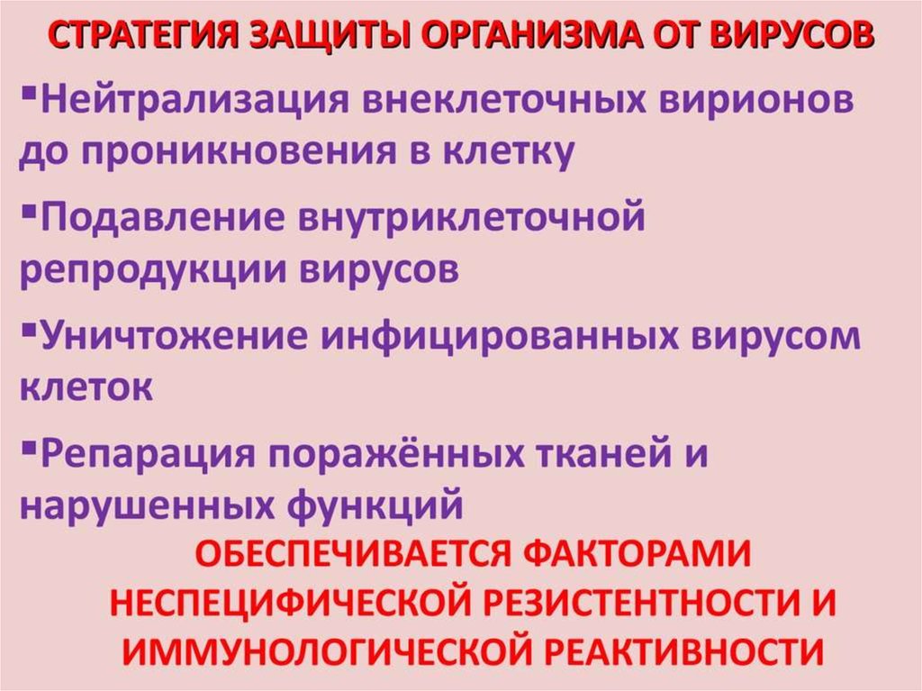 Основные механизмы защиты организма от инфекции