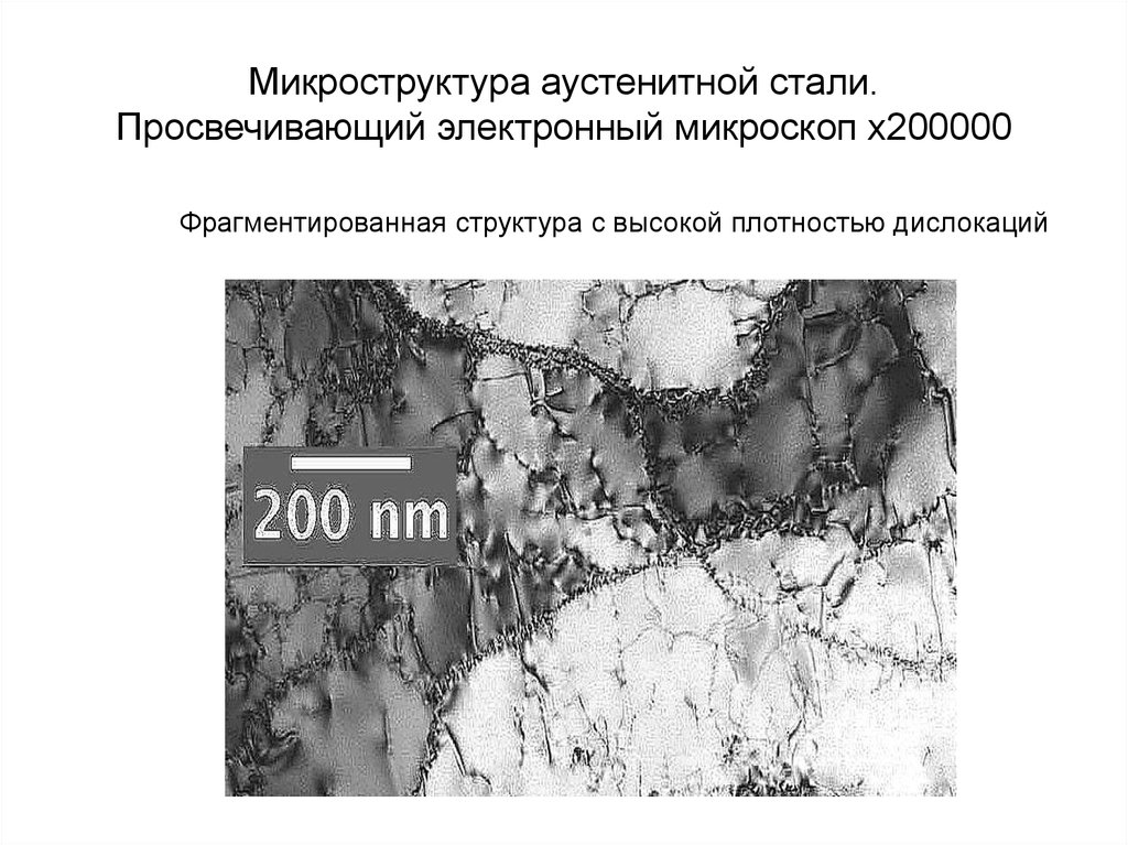 Аустенитная сталь. Микроструктура аустенитных сталей. Структура аустенитной стали. Микроструктура материала. Микроструктура стали у10.