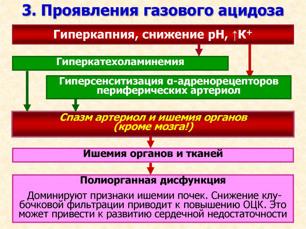 Развитие негазового ацидоза при почечной недостаточности схема