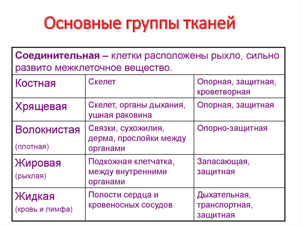 4 основные группы. Типы соединительной ткани таблица. Виды соединительной ткани человека таблица. Основные группы тканей соединительная ткань таблица. Основные типы тканей человека таблица.