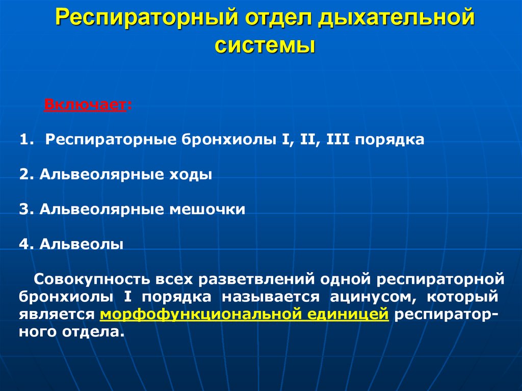 Включи дыхательную. Респираторный отдел. Отделы дыхательной системы. Функции респираторного отдела дыхательной системы. Респираторный отдел легкого.