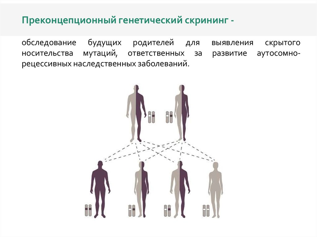 Скрининг женского населения презентация