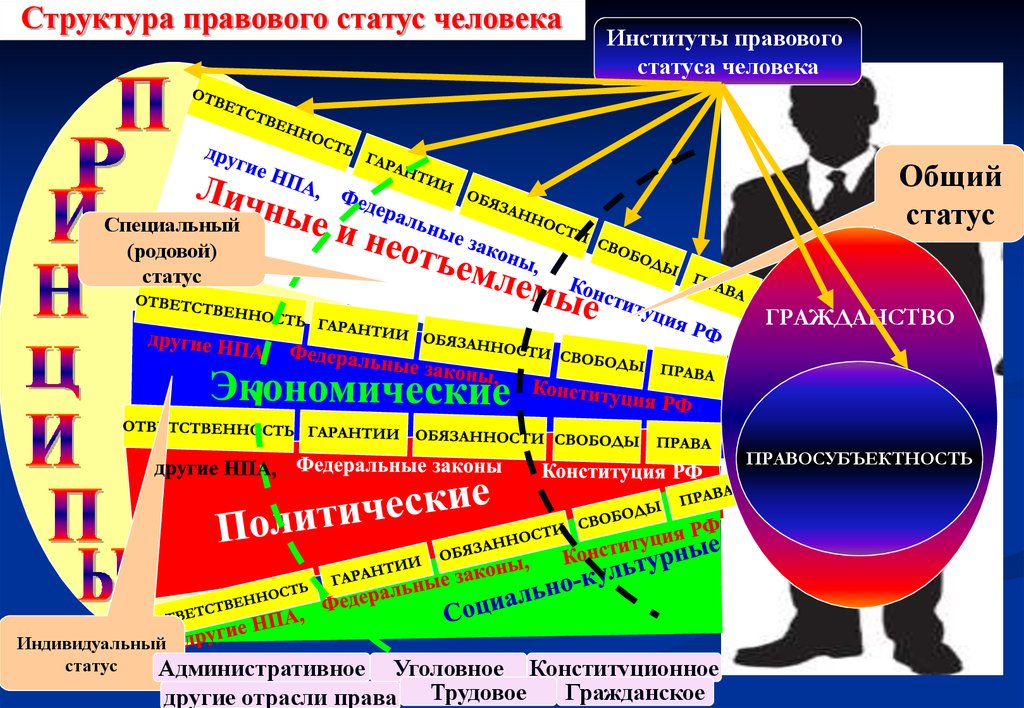 Правовой статус человека это