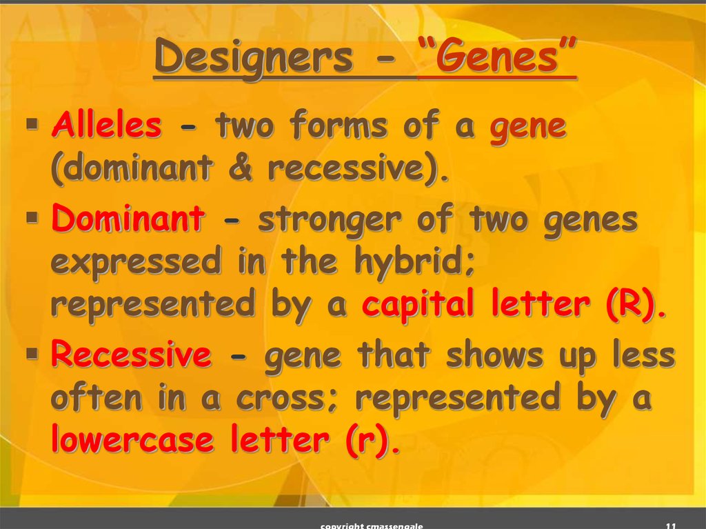 Designers - “Genes”