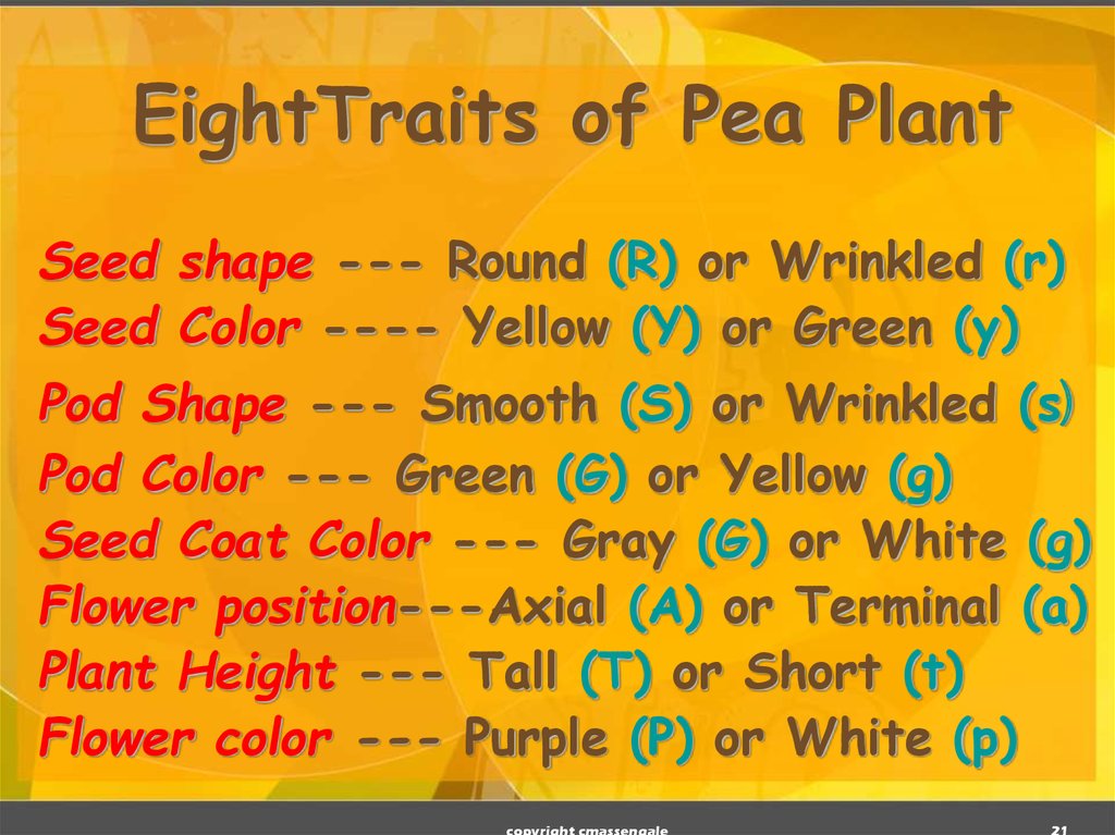 EightTraits of Pea Plant