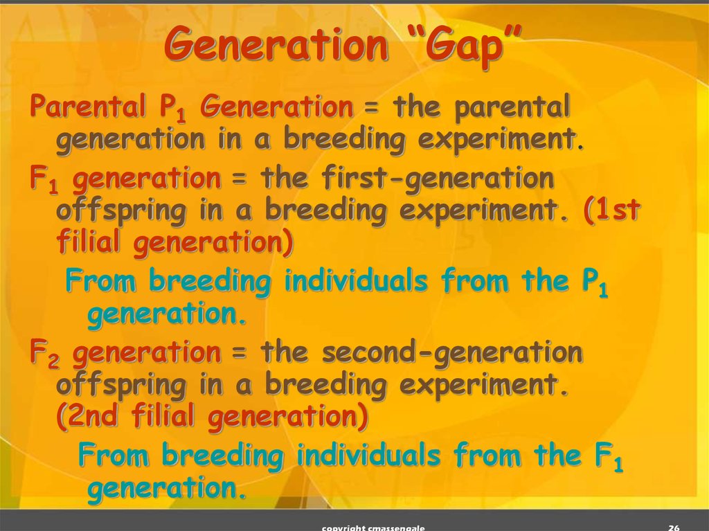 Generation “Gap”