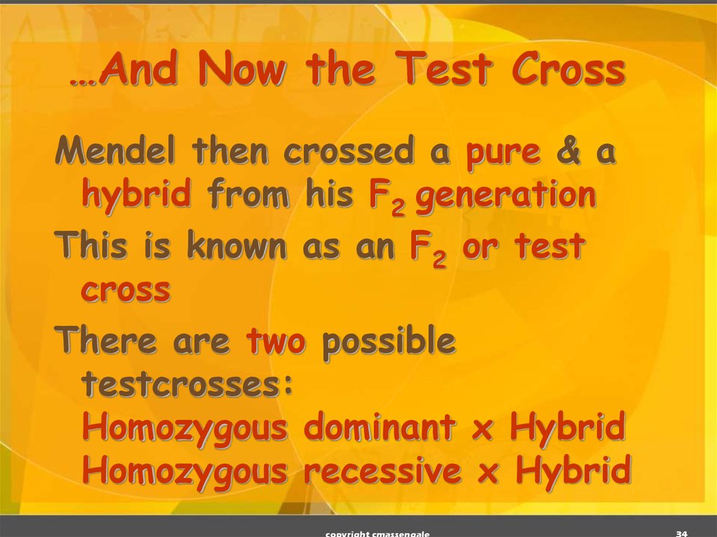 …And Now the Test Cross