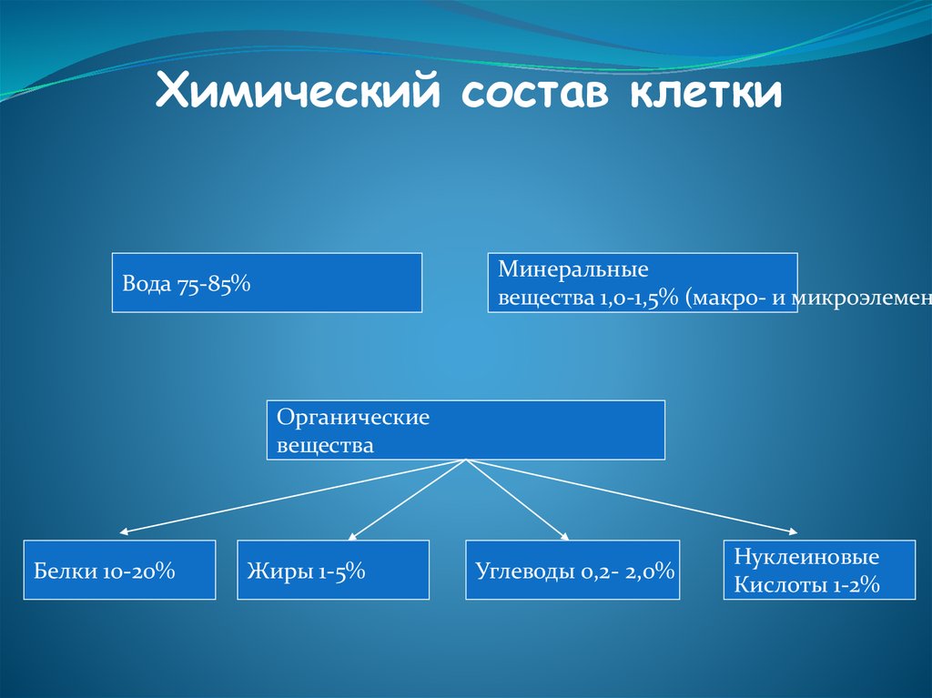 Интеллект карта химический состав клетки - 93 фото