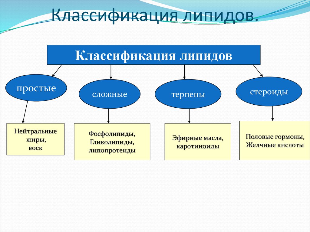 Общий признак липидов