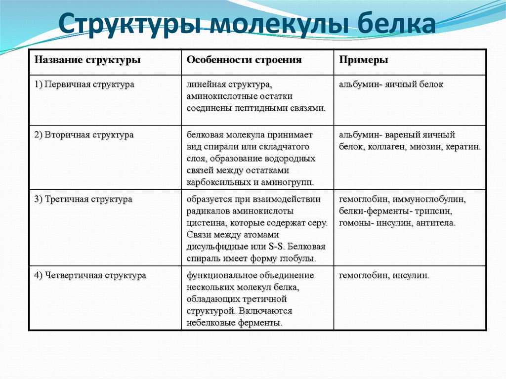 Признаки молекул белков. Структура белка характеристика таблица. Первичная структура белковой молекулы. Свойства структура первичной структуры белка. Характеристика структуры белковой молекулы.