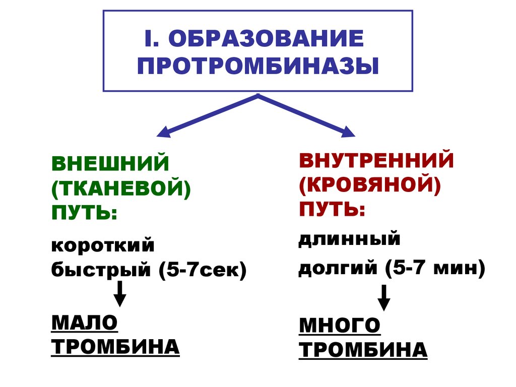 Образовано путем. Внешний механизм активации протромбиназы. Внешний и внутренний путь образования протромбиназы. Схема внутреннего пути образования протромбиназы. 2 Пути образования протромбиназы.