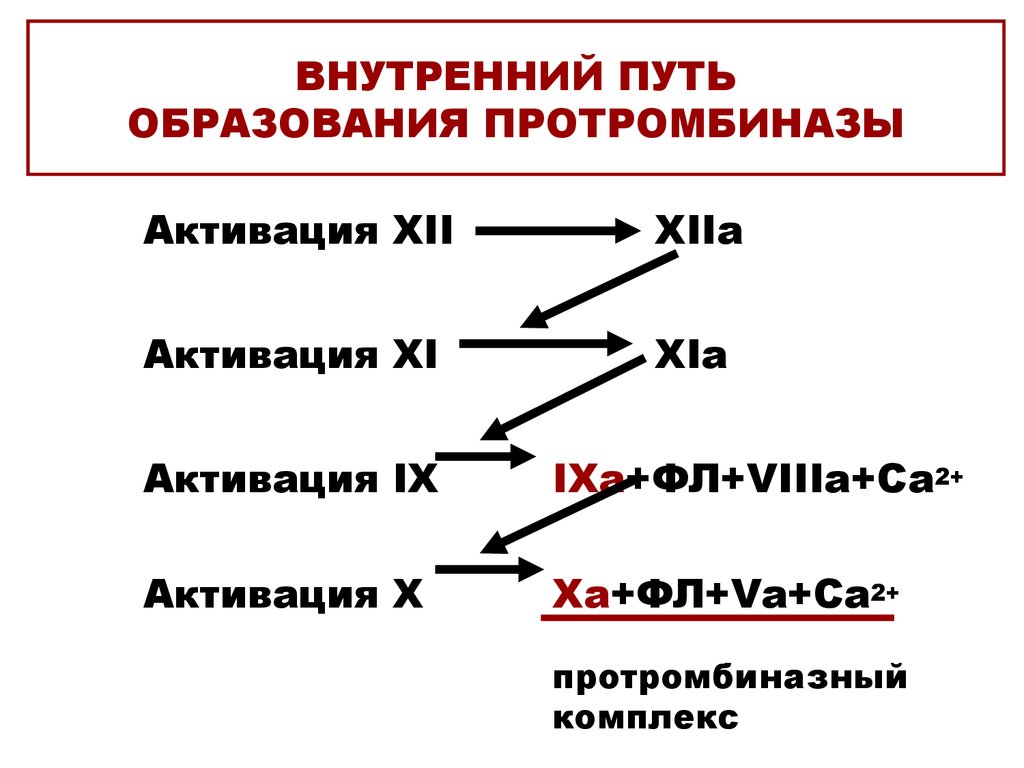 Внутреннее образование. Внешний путь активации протромбиназы. Внешний механизм активации протромбиназы. Внутренний механизм образования протромбиназы. Внешний механизм образования протромбиназы.