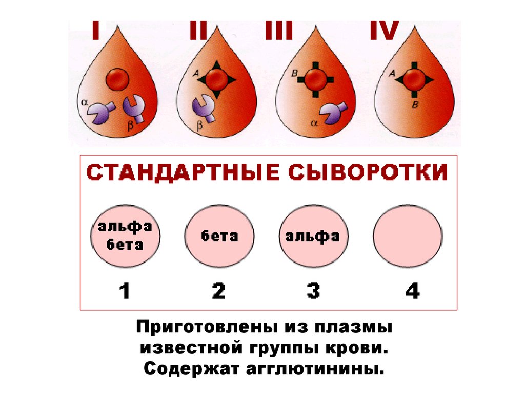 Альфа агглютинин содержится. Альфа и бета агглютинины. Группы крови Альфа и бета. Группа крови Альфа. Агглютинины в плазме крови.