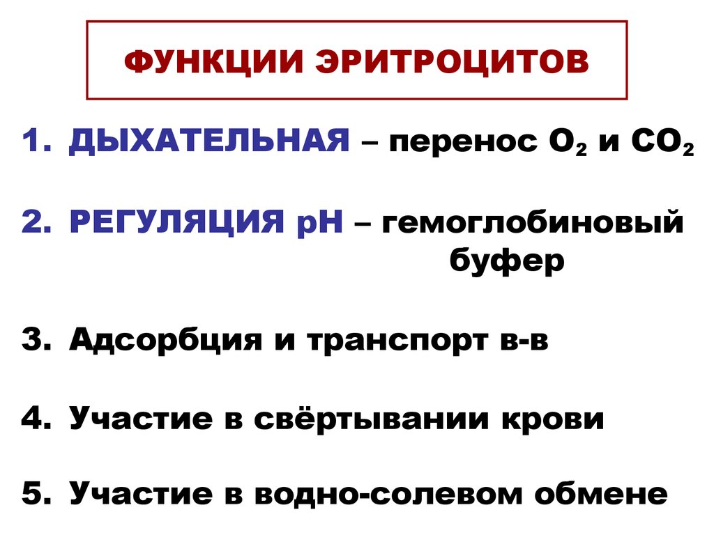 Функции эритроцитов