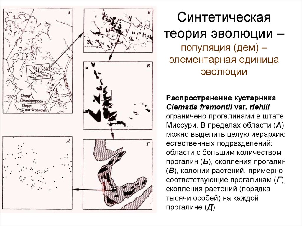 Синтетическая теория эволюции картинки