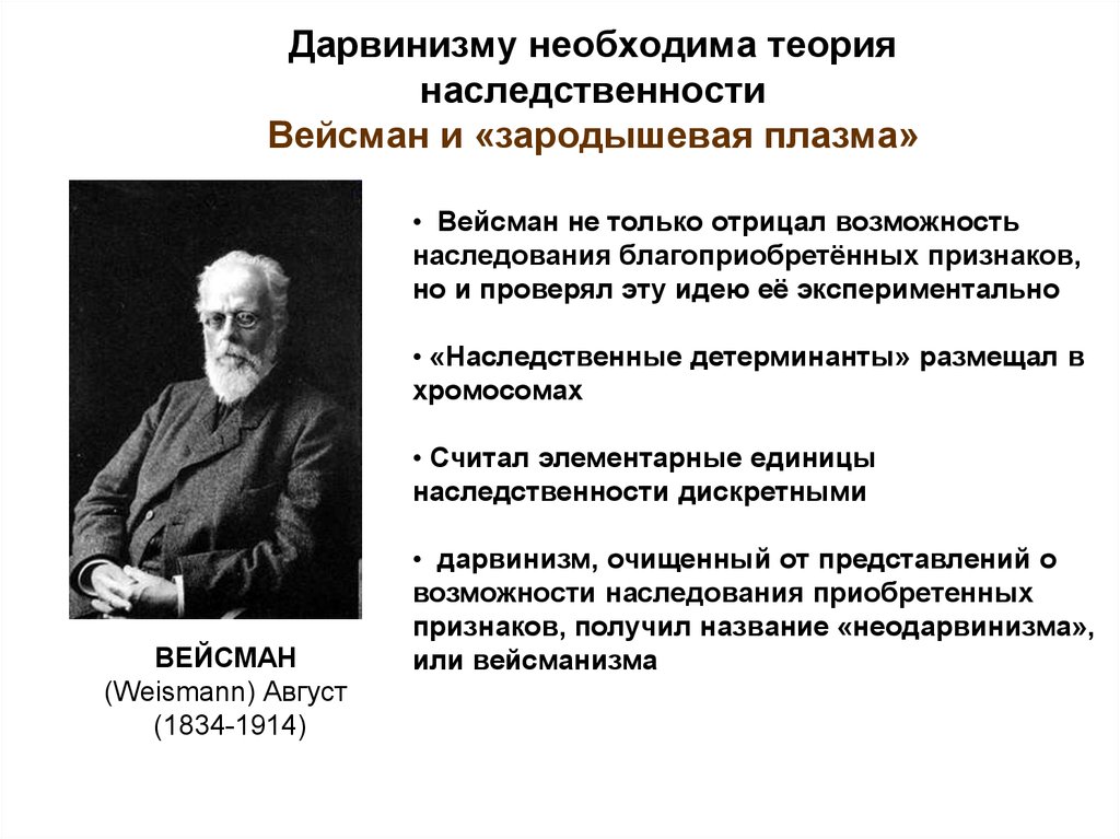 Концепция дарвинизма. Вейсман август теория зародышевой плазмы. Вейсман неодарвинизм. Вейсман вклад в теорию эволюции. Теория дарвинизма.