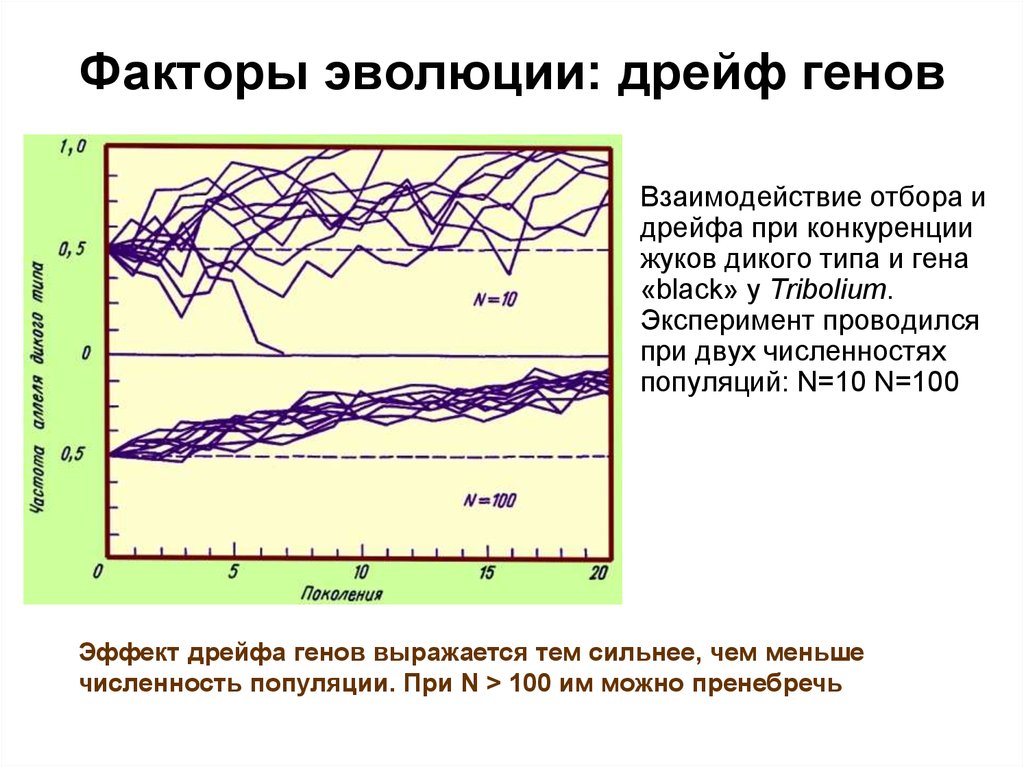 Дрейф это. Элементарные факторы эволюции дрейф генов. Дрейф генов фактор эволюции таблица. Дрейф генов эволюционное значение. Взаимодействие факторов эволюции.