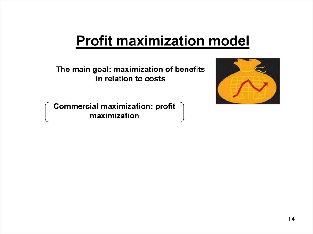 Advantages And Disadvantages Of Profit Maximization Pdf
