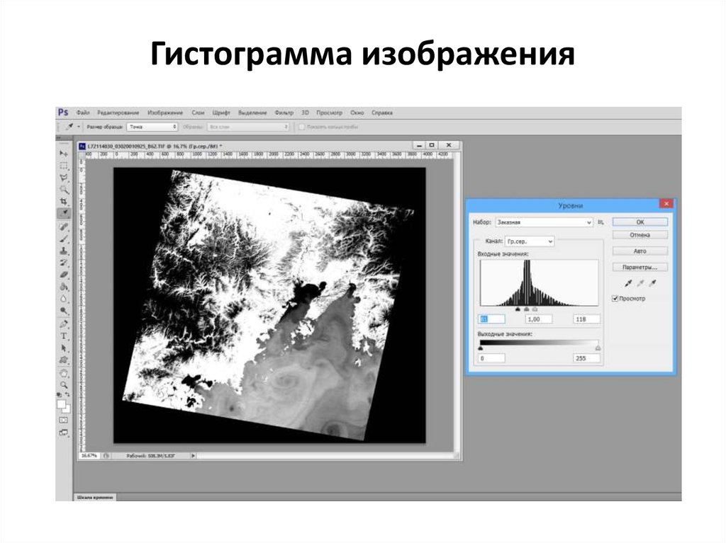 Для обработки цифровых фотографий и отсканированных изображений наилучшим средством