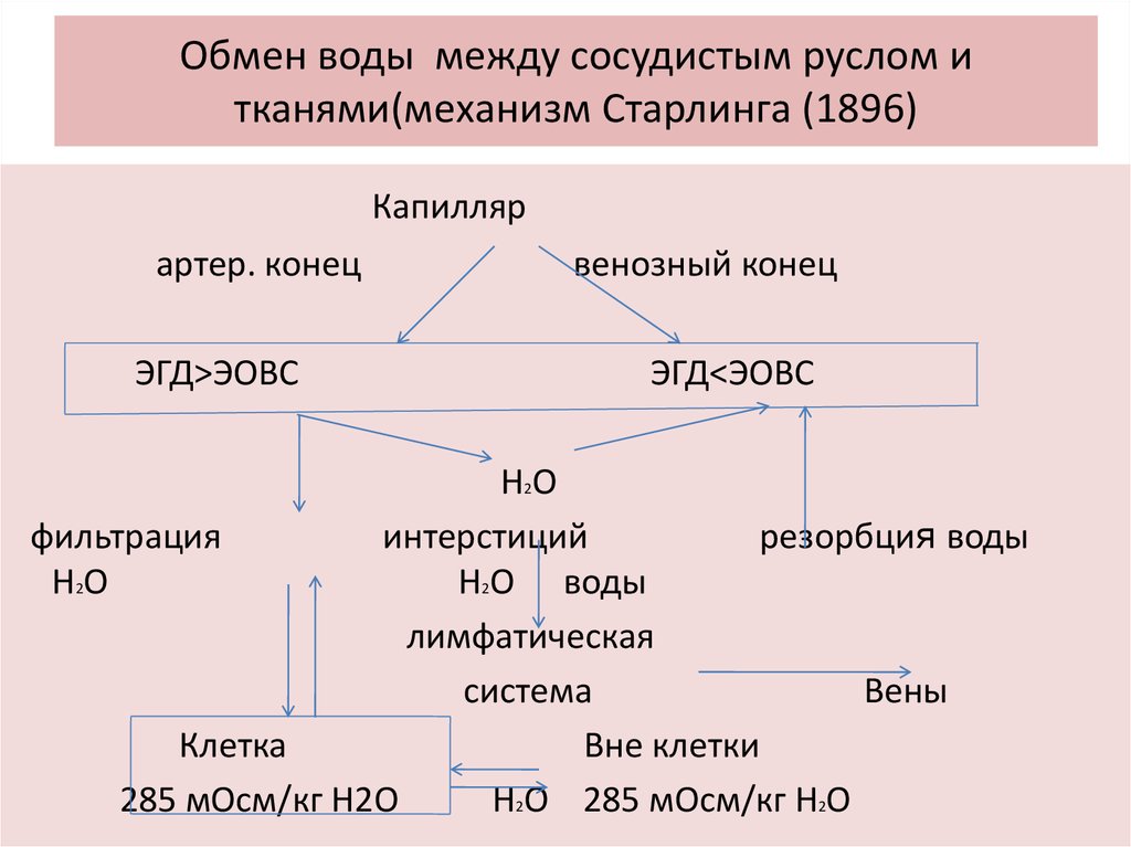 Обмен жидкостями. Обмен воды схема. Обмен воды в организме схема. Обмен воды и Минеральных веществ схема. Механизм обмена жидкости и различных веществ между кровью и тканями.