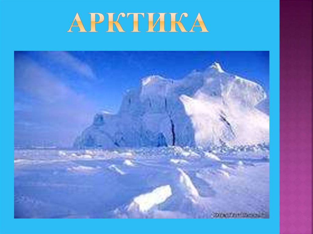 Арктика