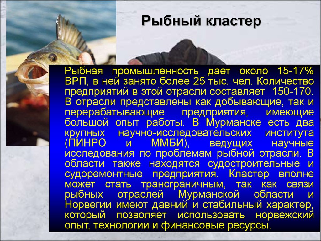 Рыбная отрасль промышленности. Рыбная промышленность сообщение. Кластер рыба. Ресурсы рыбной промышленности. Презентация на тему рыболовство.