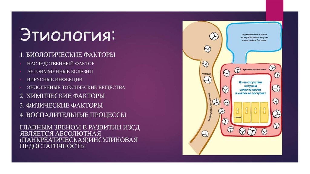 Диабет 1 типа презентация