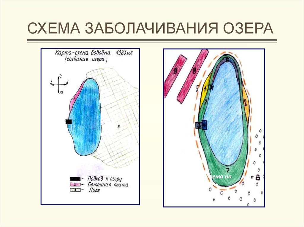 Солнечный пруд схема