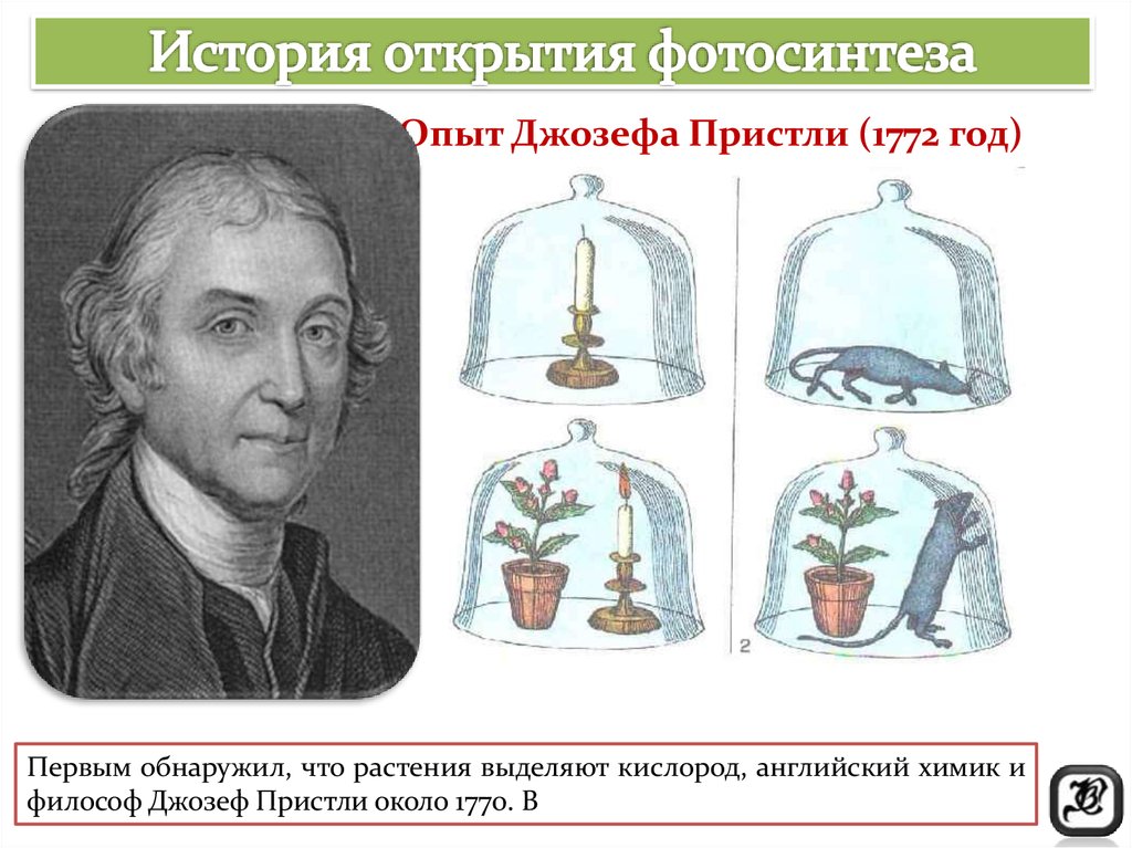 Русский ученый впервые значение хлорофилла для фотосинтеза. Открытие фотосинтеза опыт Пристли.