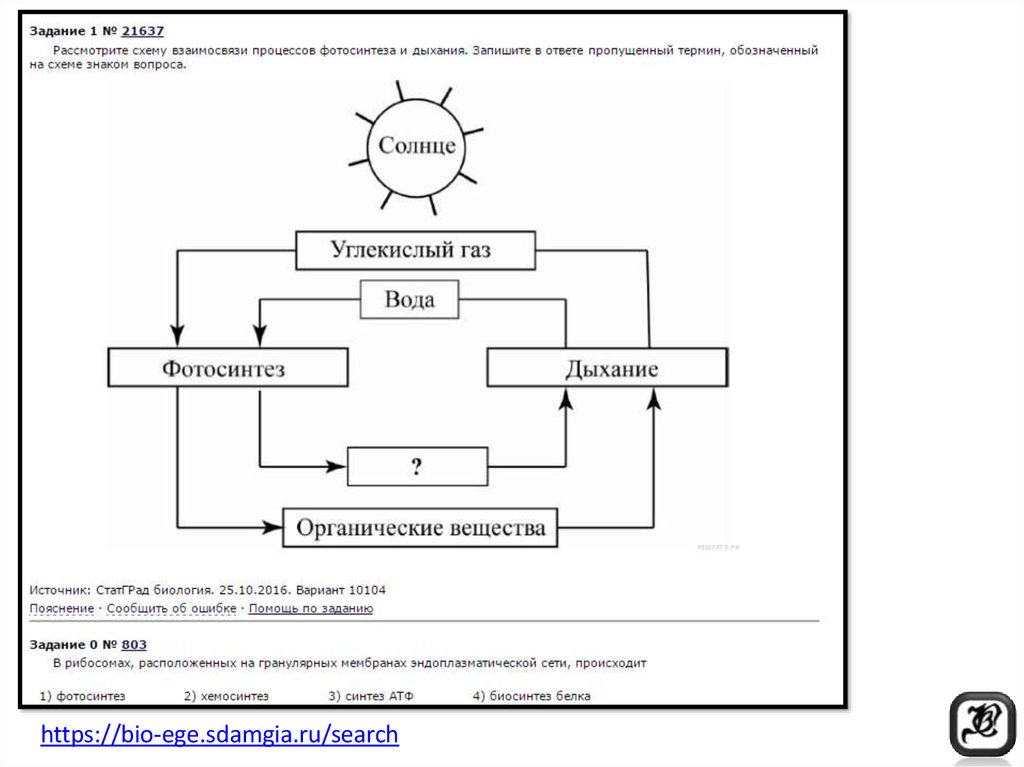 Схема фотосинтеза схема дыхания