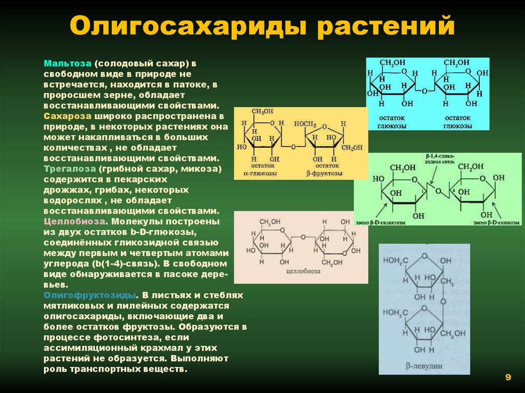 В природе содержится в. Олигосахариды. Олигосахариды у растений. Примеры растительных олигосахаридов. Важнейшие представители олигосахаридов..