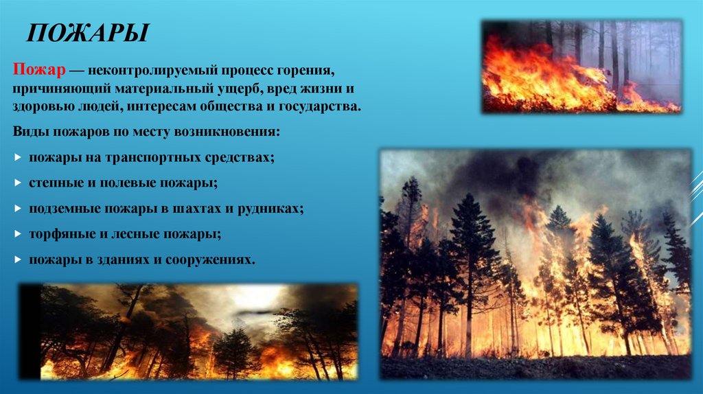 Лесной пожар относится к биологически опасным явлениям. Природные явления пожар. ЧС природного Лесные пожары. Виды природных пожаров. Природные пожары опасные явления.