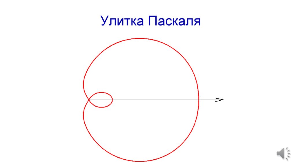 Улитка паскаля рисунок