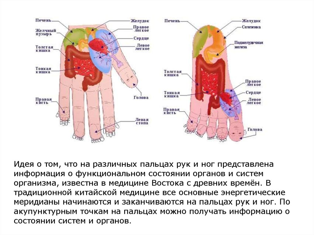 Су джок терапия