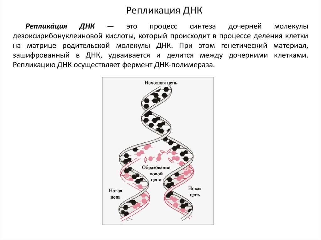 Служба репликации файлов что это