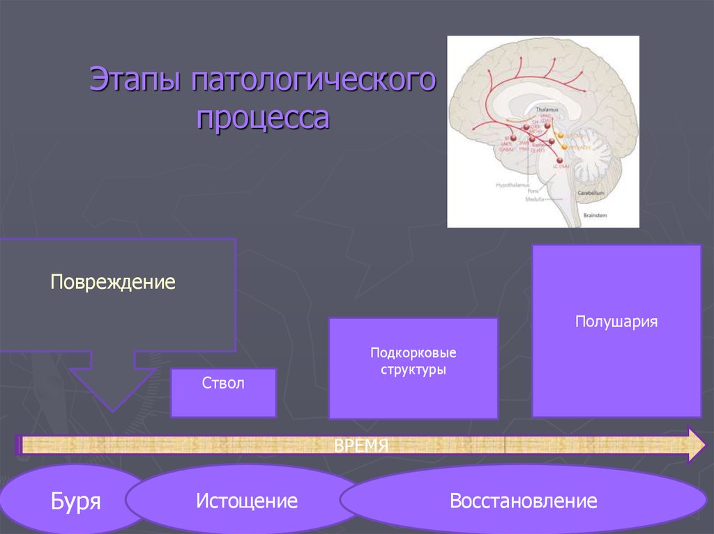 Патология процесс