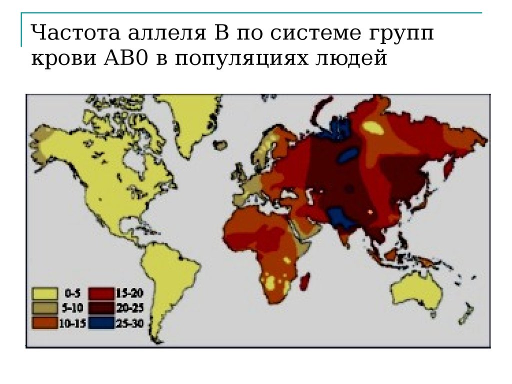Распространенная группа крови в мире. Распределение групп крови по миру карта. Распределение групп крови. Распределение людей по группам крови. Распространение групп крови в мире.