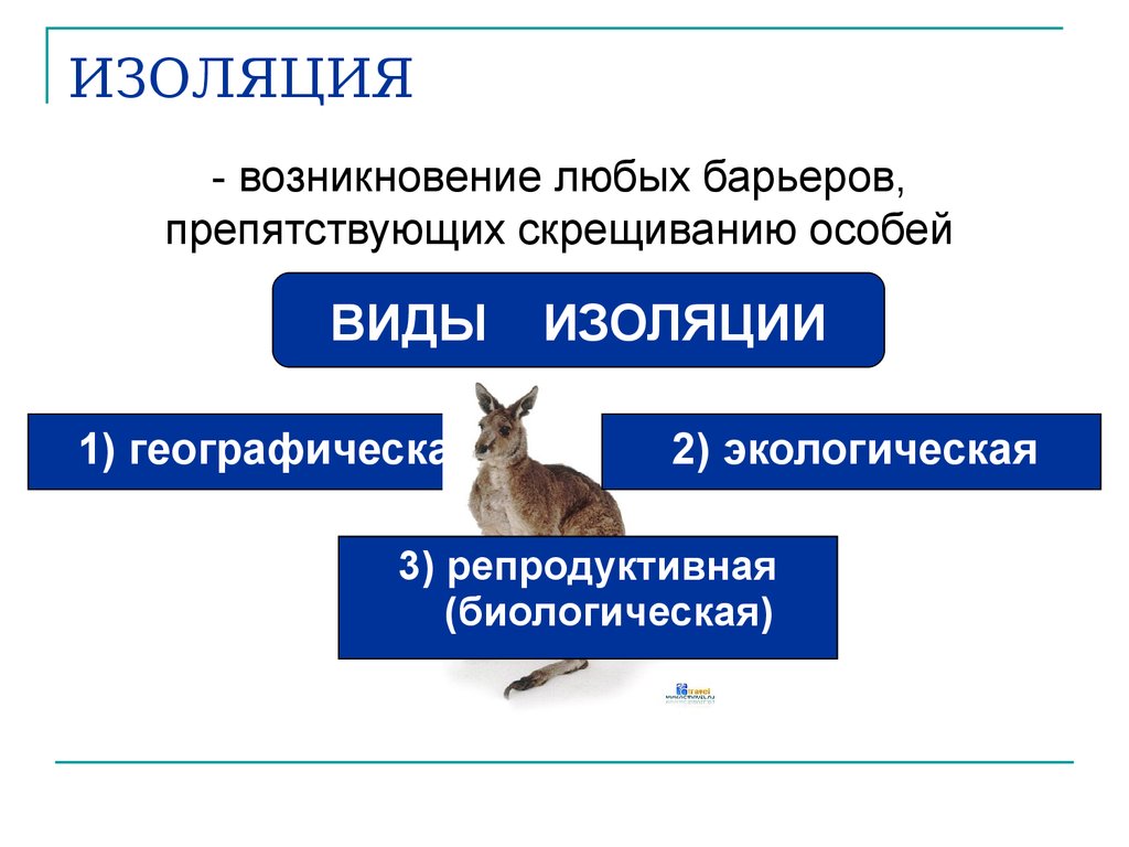 Приведите примеры географической изоляции. Географическая изоляция это в биологии. Типы изоляции в биологии. Биологическая изоляция примеры. Изоляция популяций.