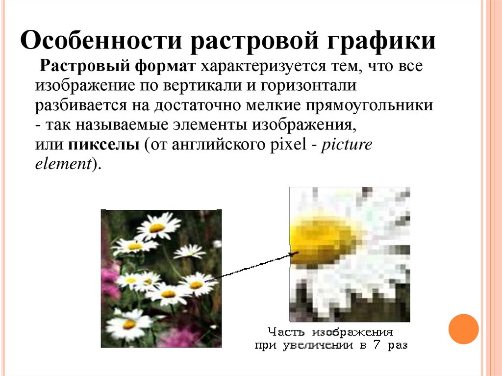 Укажите основные свойства растровой графики изображение формируется в виде растра