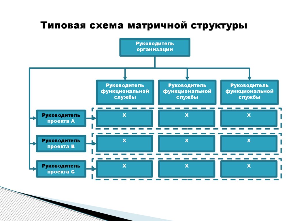 Матричная структура схема