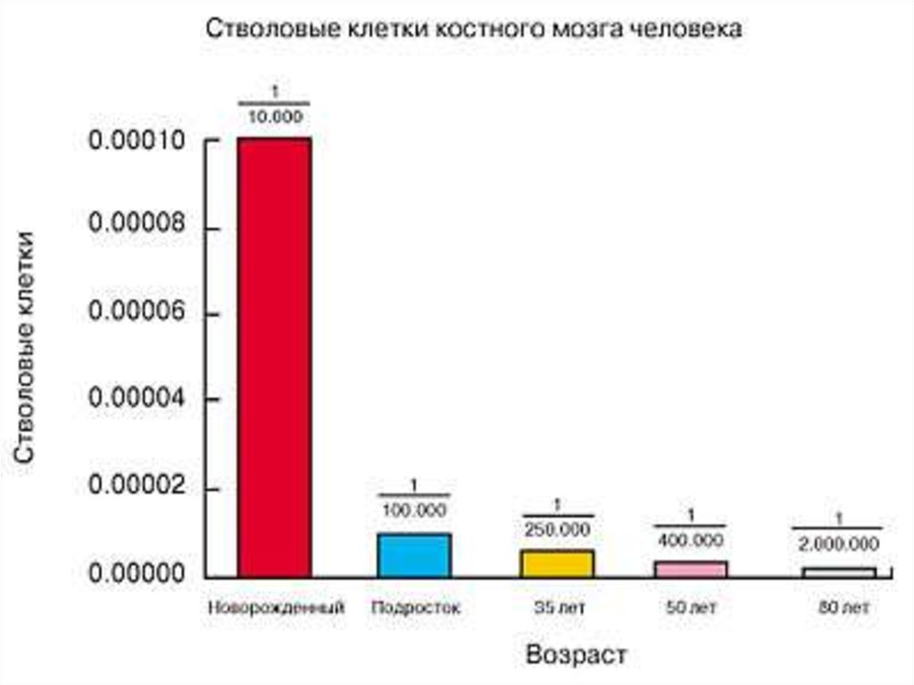 Сколько стволовых клеток