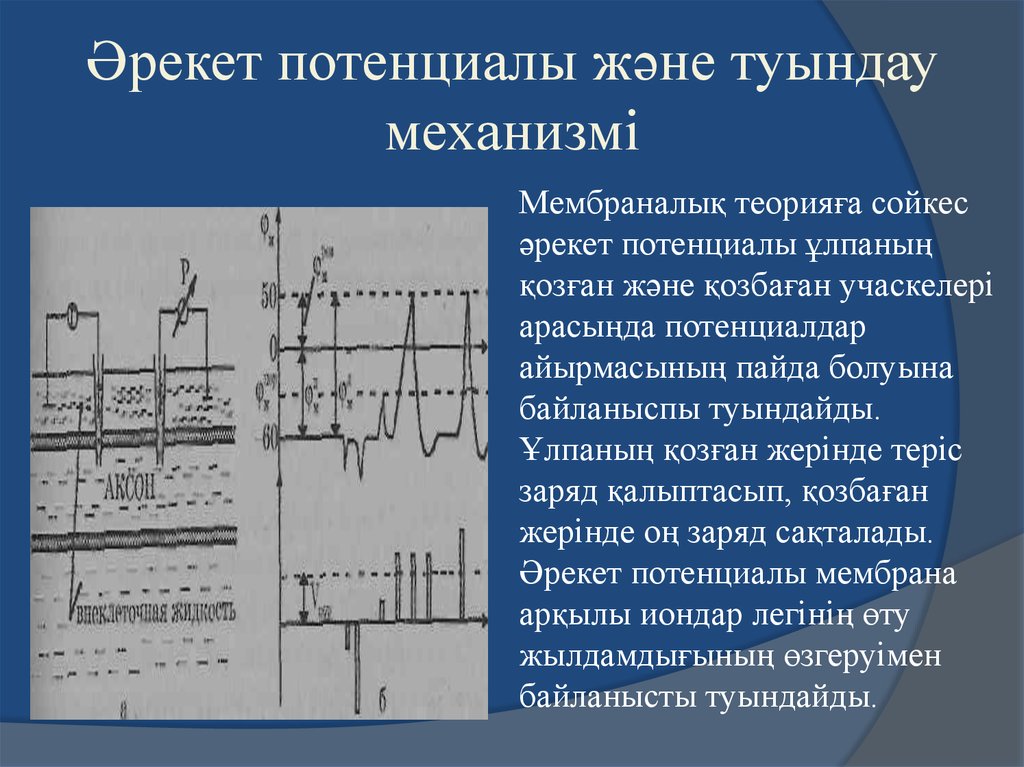 Мембраналық рецепторлар арқылы гормондық сигналдардың берілуі