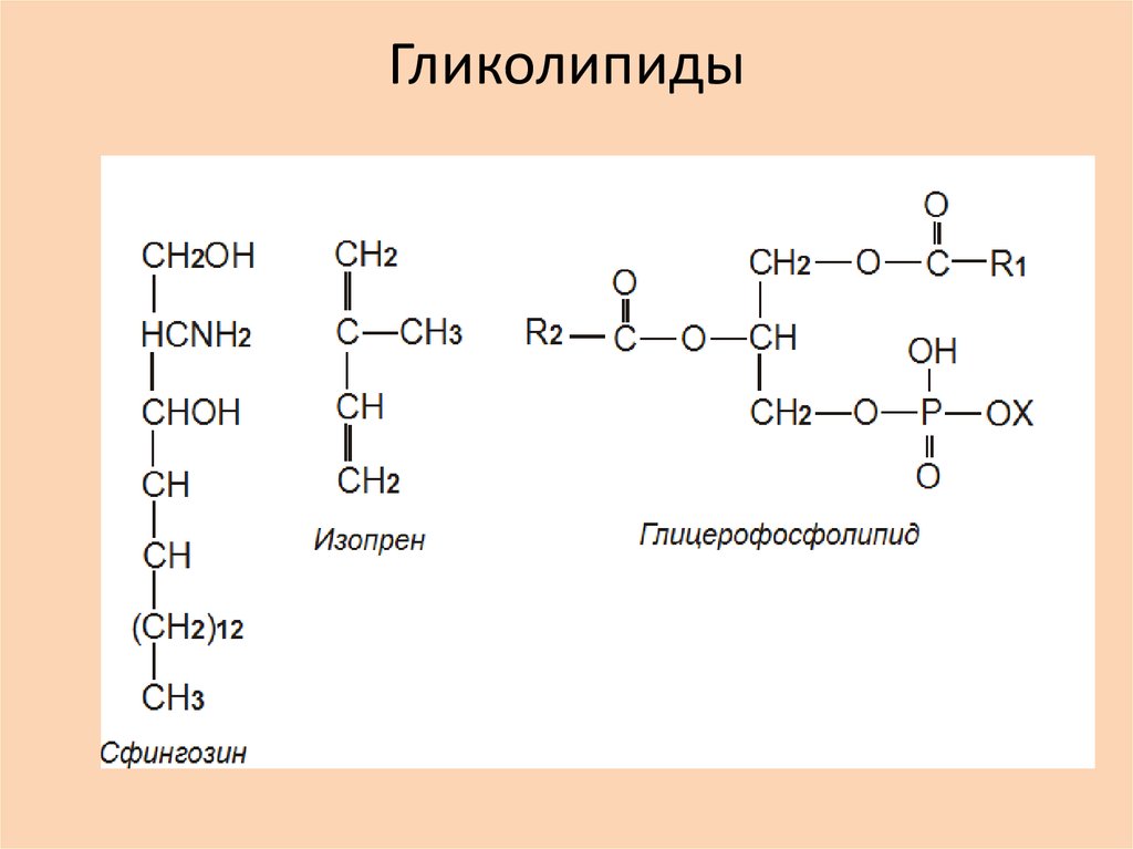 Гликолипиды. Пример гликолипида формула. Гликолипиды строение формулы. Гликолипиды структурная формула. Гликолипиды общая формула.