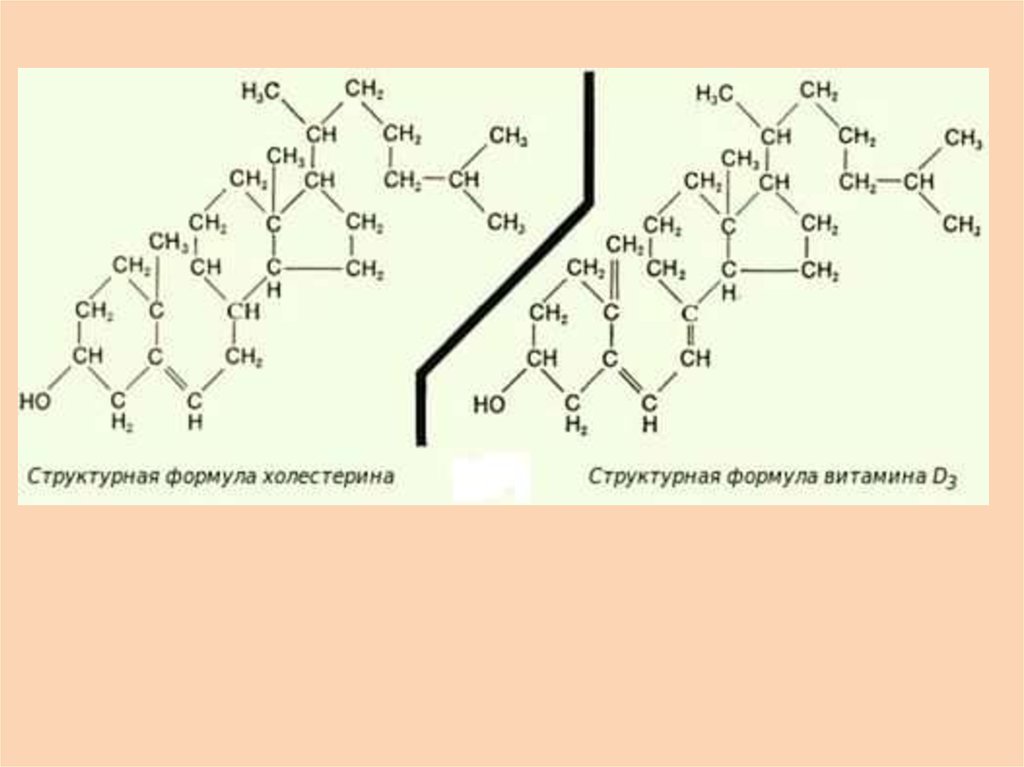 Данными структурными формулами. Витамин д2 структурная формула. Химическая структура холестерина. Холестерин формула биохимия. Витамин д структурная формула.